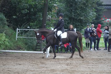 Bild 463 - WBO-Turnier am 18.9.11